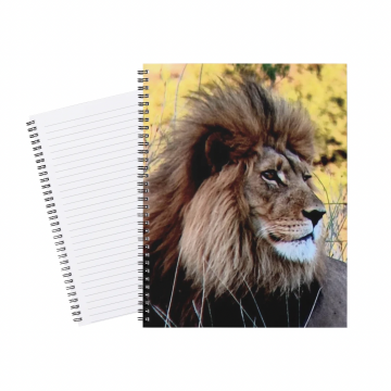 Notebook Safari Lion 014