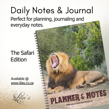 Notebook Safari Lion