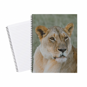 Notebook Safari Lion 013