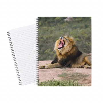 Notebook Safari Lion