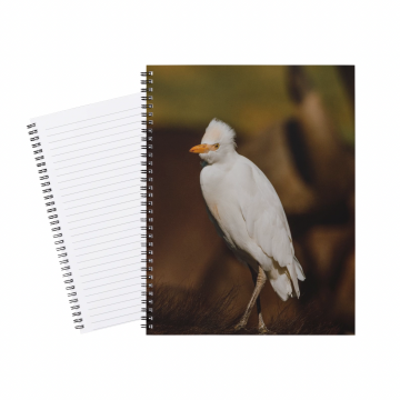 Notebook Half-Collared Kingfisher