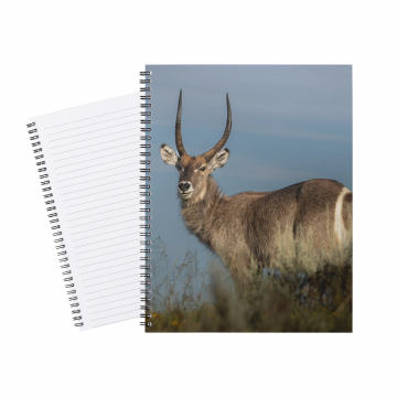 Notebook Water Buck