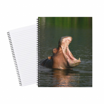Notebook Hippo