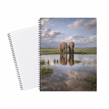 Notebook Elephant walking through Water