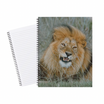 Notebook Safari Lion Smile