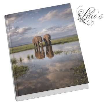Notebook Safari Elephants Water
