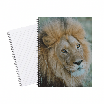 Notebook Safari Lion 015