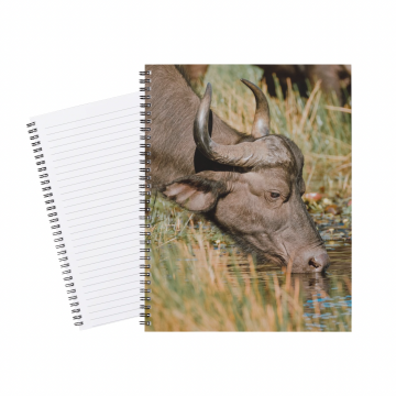 Notebook Safari Buffalo