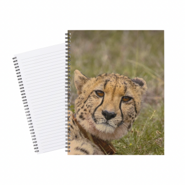Notebook Safari Cheetah 1